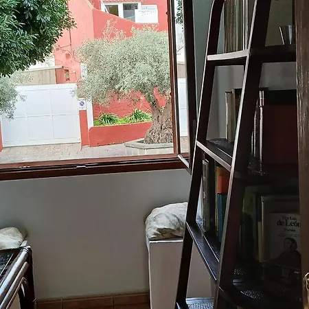Carmita Vega de San Mateo